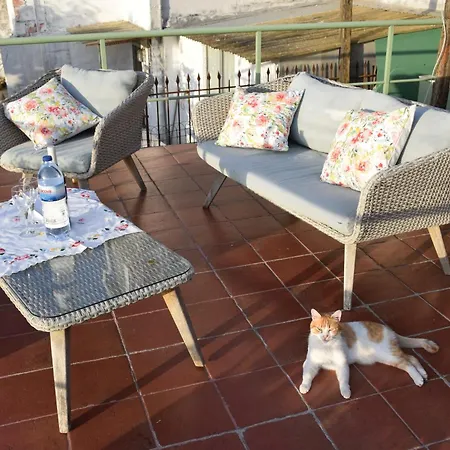 Green House Bed & Breakfast Porto