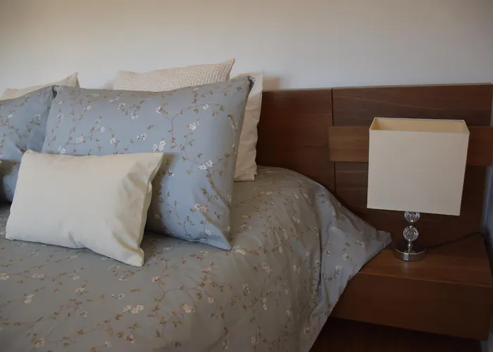 Green House Bed & Breakfast Porto